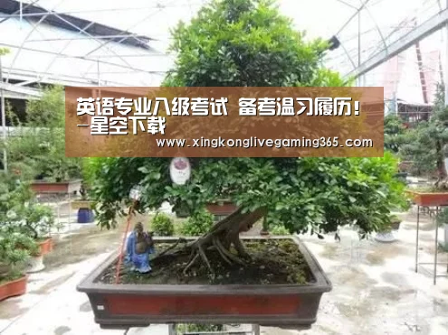 英语专业八级考试 备考温习履历!-星空下载(图4) 星空下载