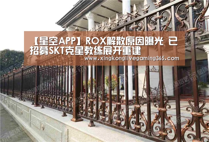 【星空APP】ROX解散原因曝光 已招募SKT克星教练展开重建(图3) 星空下载