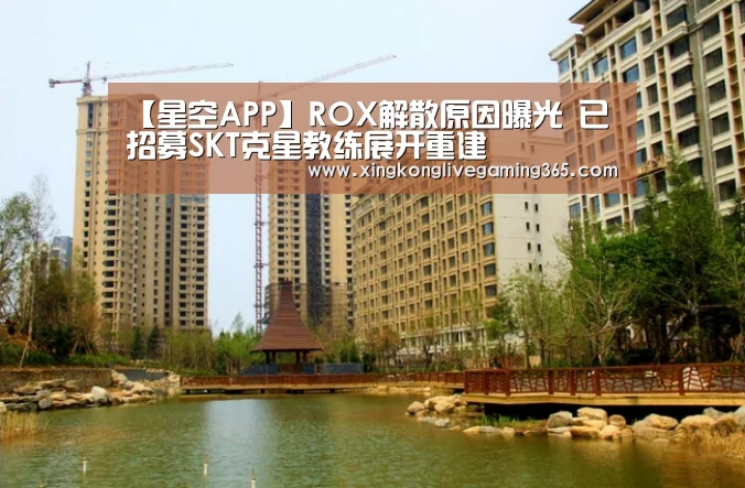 【星空APP】ROX解散原因曝光 已招募SKT克星教练展开重建(图4) 星空赛事