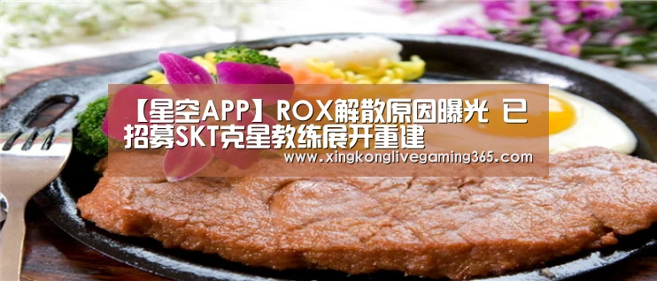 【星空APP】ROX解散原因曝光 已招募SKT克星教练展开重建(图1) 星空赛事