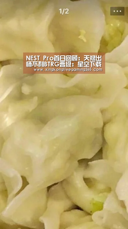 NEST Pro首日回顾:天禄出师不利BTRG晋级:星空下载(图1) 星空官网