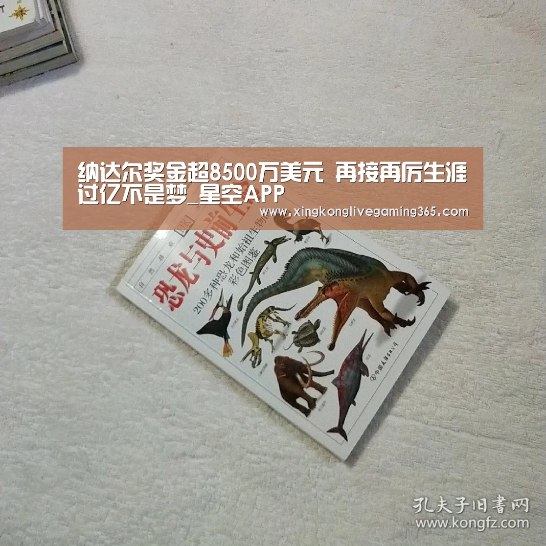 星空官网