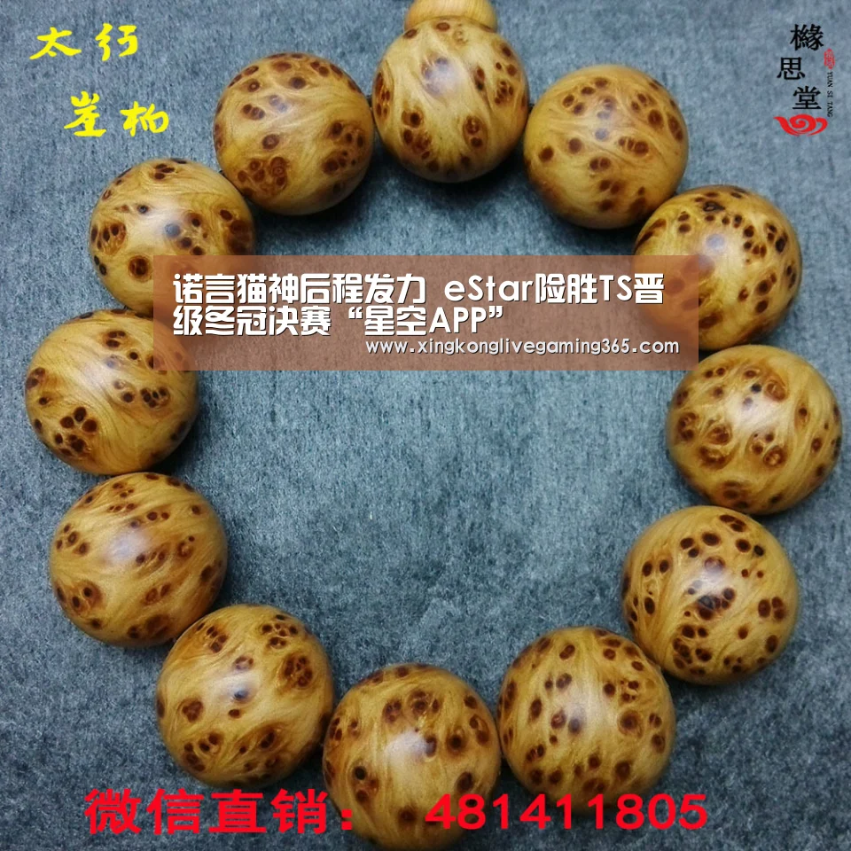 诺言猫神后程发力 eStar险胜TS晋级冬冠决赛“星空APP”(图1) 星空APP